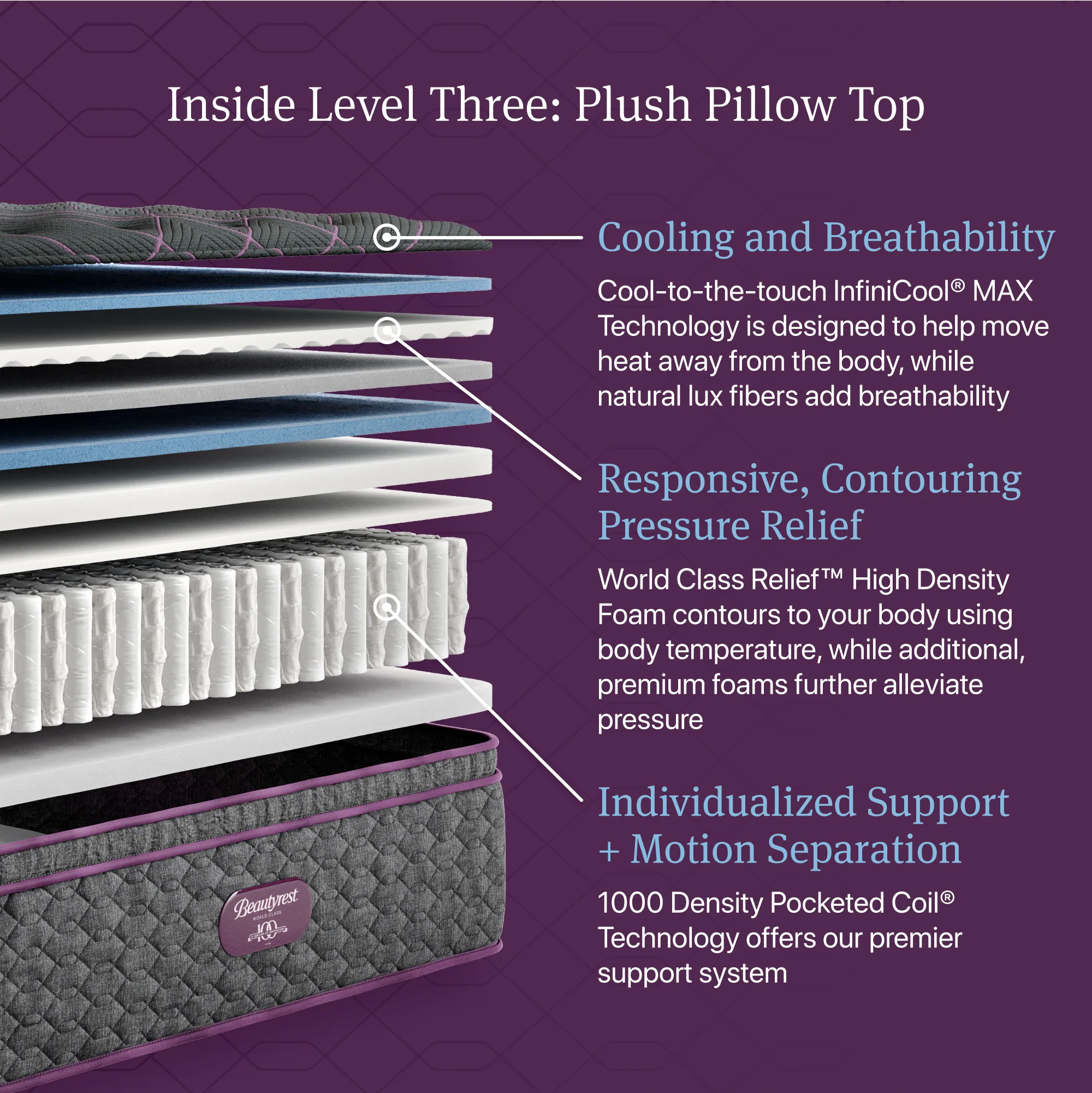 Beautyrest World Class Level Four Plush Pillow Top - Image 2