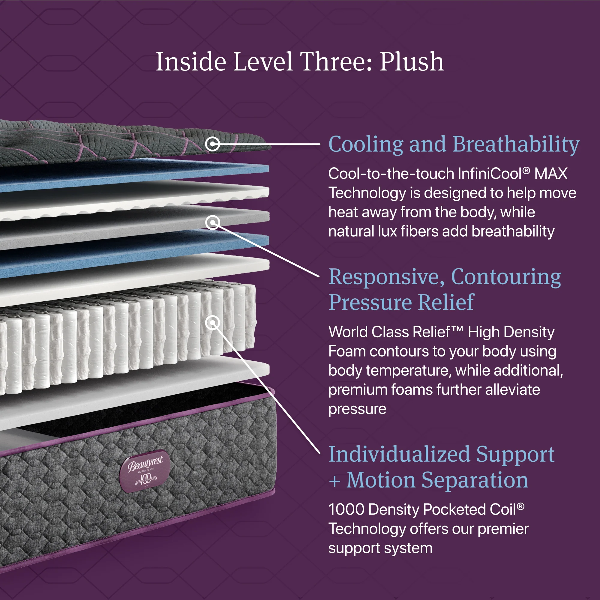 Beautyrest World Class Level Three Plush - Image 4