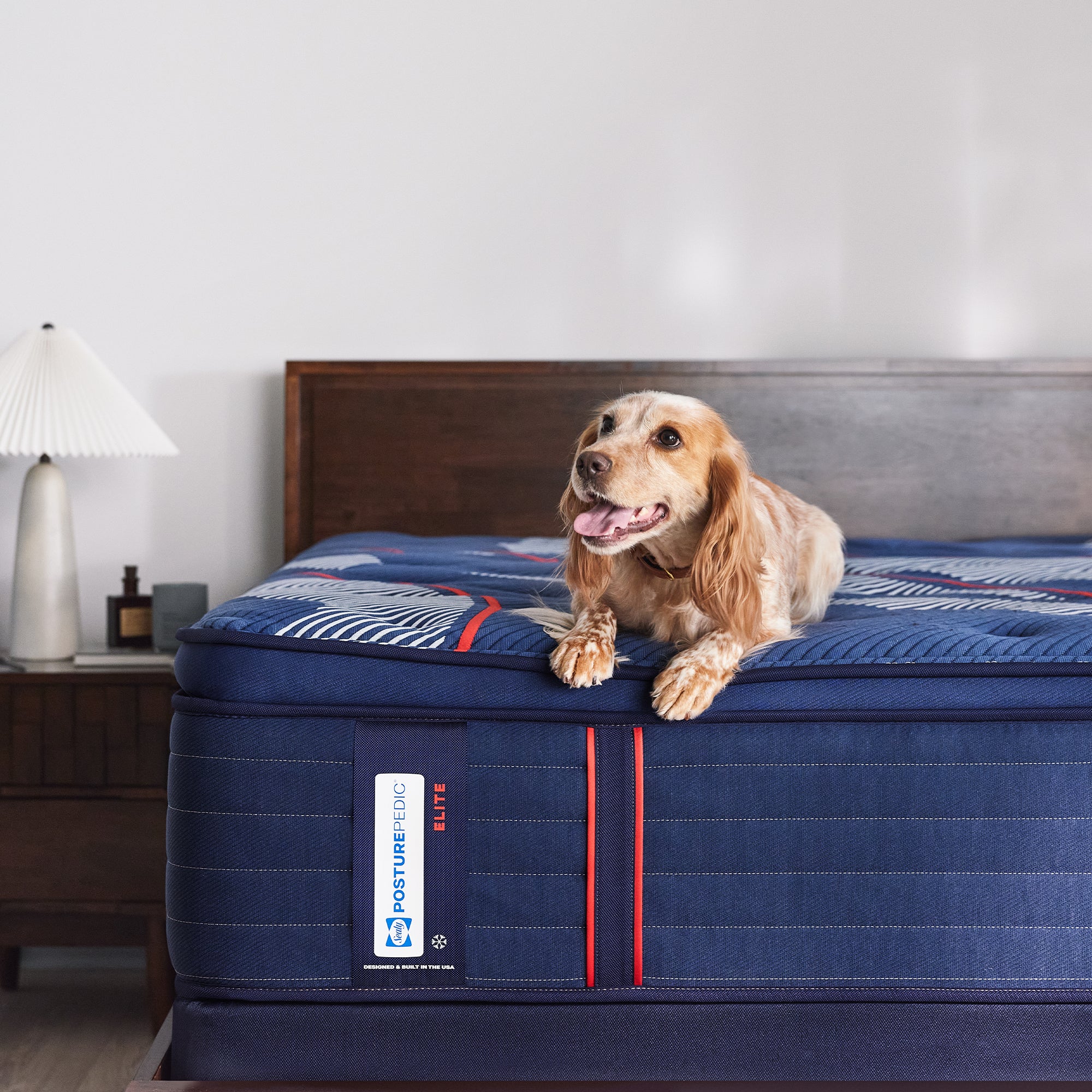 Sealy Posturepedic Elite Spring Albany2 Soft Euro Pillow Top - Image 6