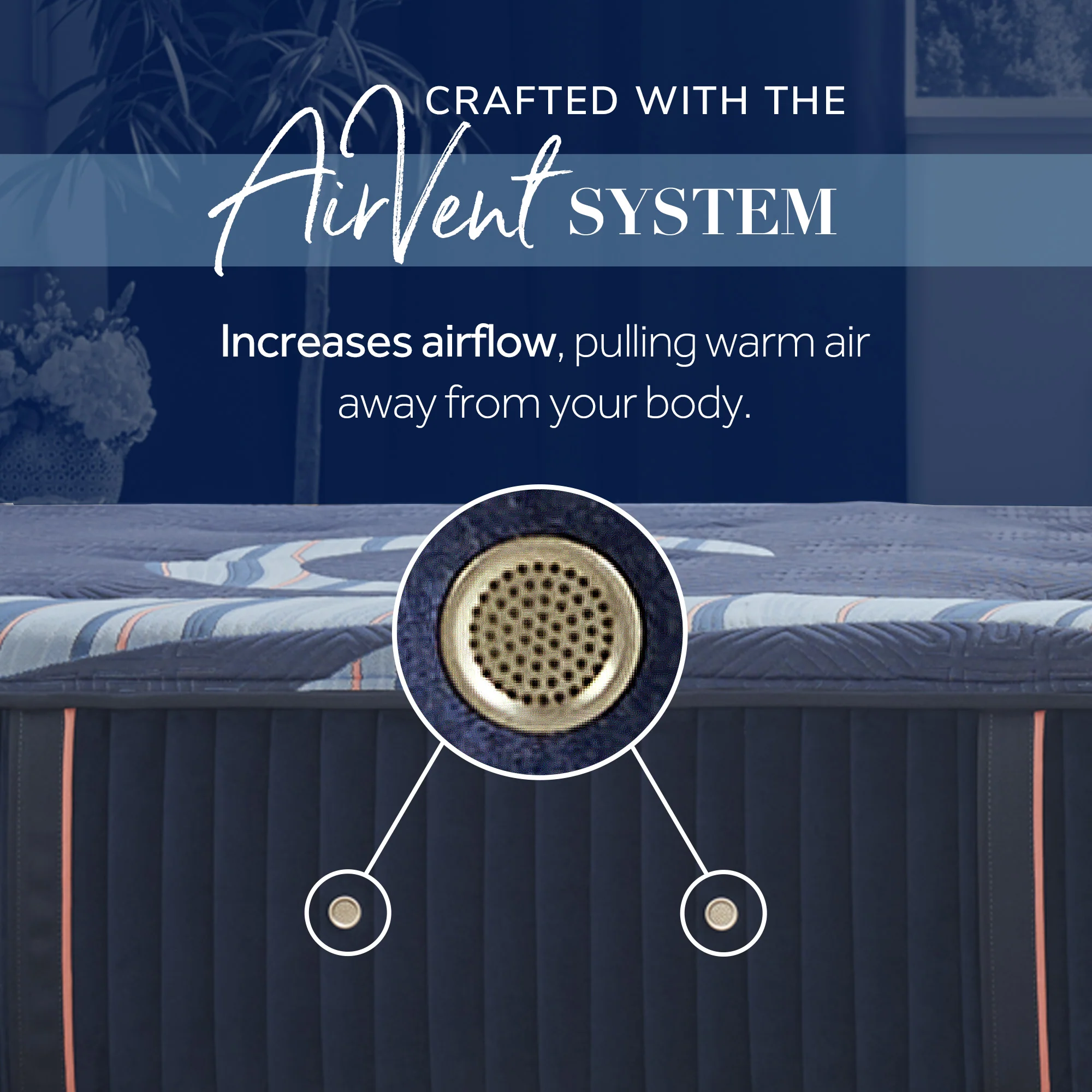 Stearns & Foster Reserve – Soft Euro Pillow Top - Image 8